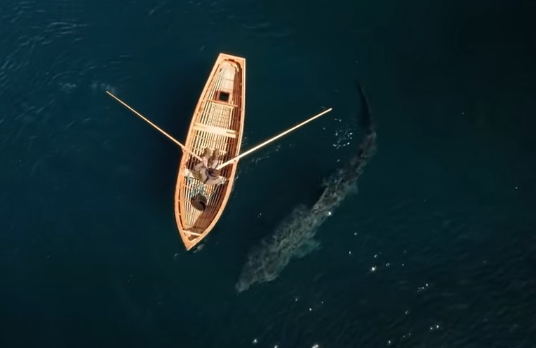 ボートに近づくウバザメ