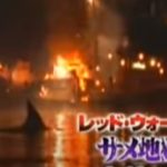 【サメ映画】レッド・ウォーター サメ地獄