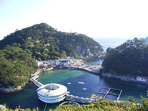 下田海中水族館のドローン写真